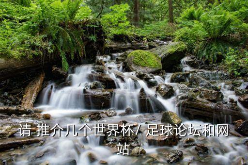 請(qǐng) 推介幾個(gè)世界杯/ 足球論壇和網(wǎng)站