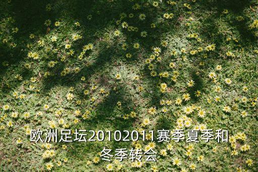 歐洲足壇20102011賽季夏季和冬季轉(zhuǎn)會(huì)