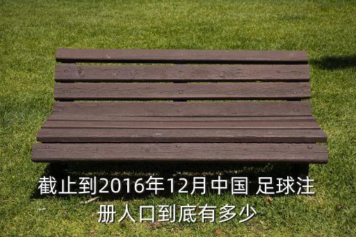 截止到2016年12月中國 足球注冊人口到底有多少