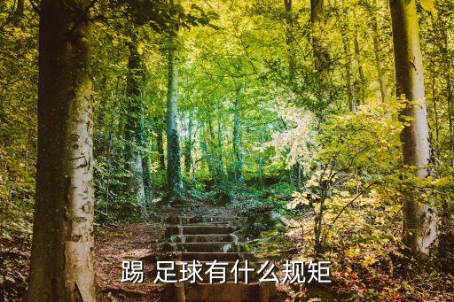 足球護(hù)腿板的英文