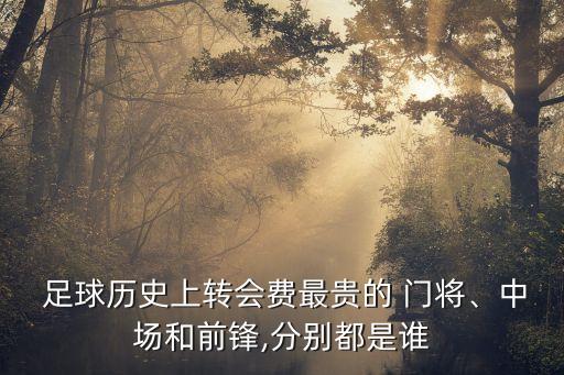  足球歷史上轉(zhuǎn)會費(fèi)最貴的 門將、中場和前鋒,分別都是誰