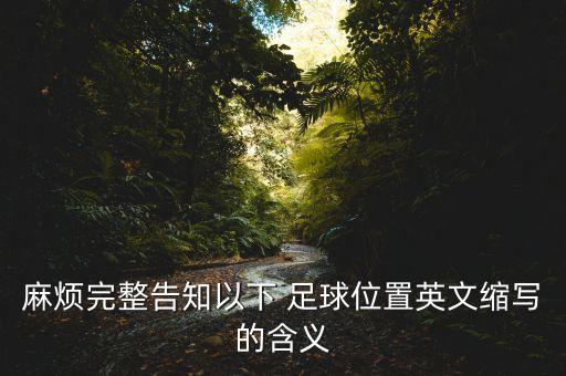 足球dm什么意思,dm什么意思網絡流行語