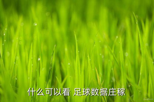 足球電競(jìng)半決賽回放,足球世俱杯半決賽回放