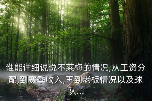 足球運(yùn)動(dòng)員的兼職,冰島足球運(yùn)動(dòng)員兼職