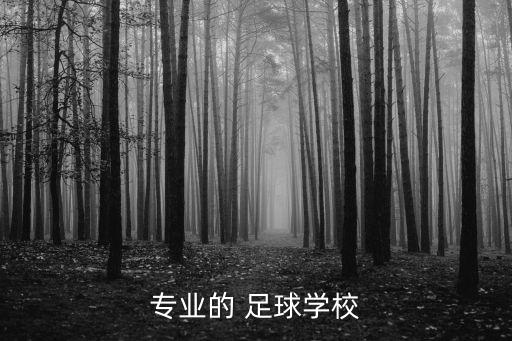 專業(yè)的 足球學校