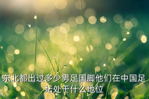 東北都出過(guò)多少男足國(guó)腳他們?cè)谥袊?guó)足壇處于什么地位