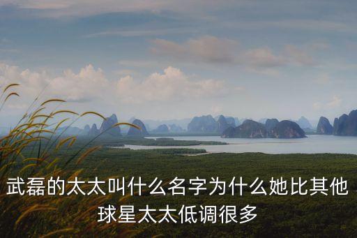 武磊的太太叫什么名字為什么她比其他球星太太低調(diào)很多