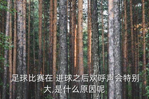  足球比賽在 進(jìn)球之后歡呼聲會特別大,是什么原因呢