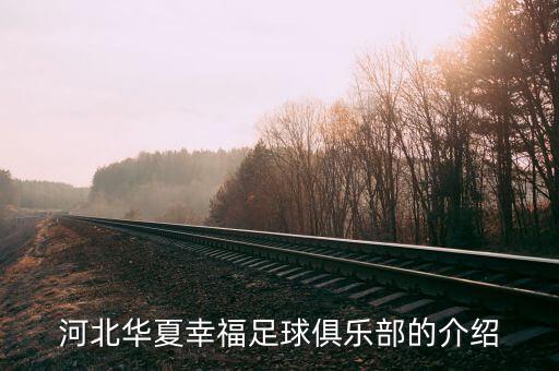 河北華夏幸福足球俱樂部的介紹