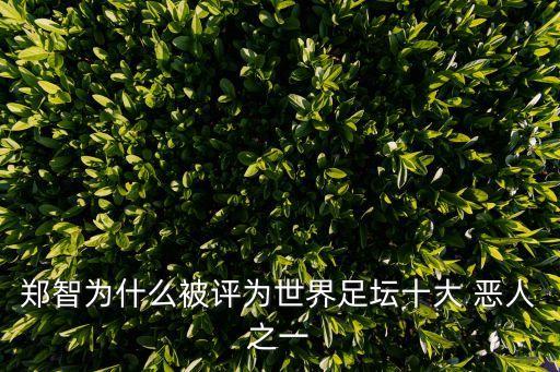 鄭智為什么被評(píng)為世界足壇十大 惡人之一