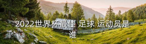 何超足球運(yùn)動(dòng)員數(shù)據(jù)