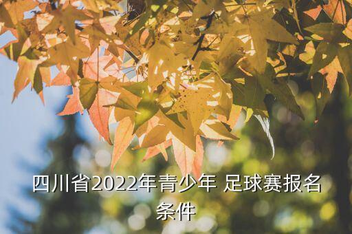 少兒足球比賽怎么注冊(cè),蘭州市少兒足球比賽