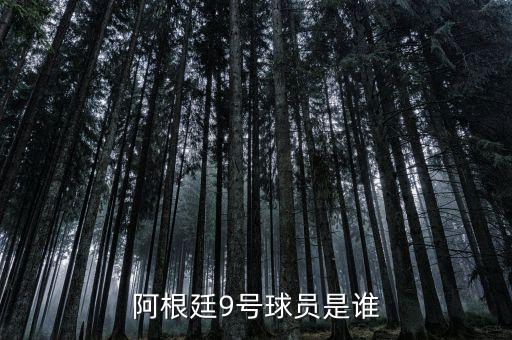 足球場(chǎng)上9號(hào)