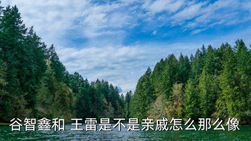 谷智鑫和 王雷是不是親戚怎么那么像
