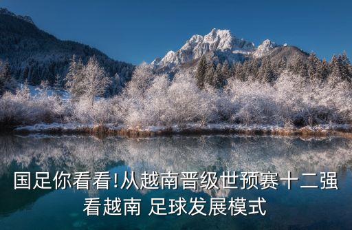 國足你看看!從越南晉級世預(yù)賽十二強看越南 足球發(fā)展模式