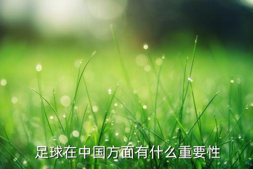  足球在中國(guó)方面有什么重要性