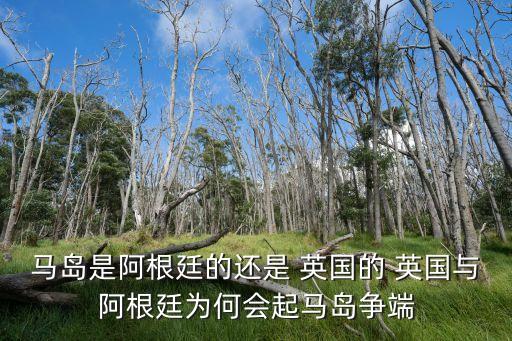 馬島是阿根廷的還是 英國的 英國與阿根廷為何會起馬島爭端