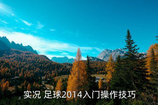  實(shí)況 足球2014入門操作技巧