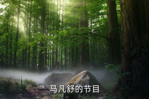 馬凡舒的節(jié)目