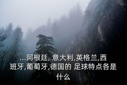 ...阿根廷, 意大利,英格蘭,西班牙,葡萄牙,德國的 足球特點各是什么