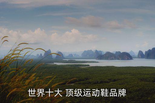 世界十大 頂級運(yùn)動鞋品牌