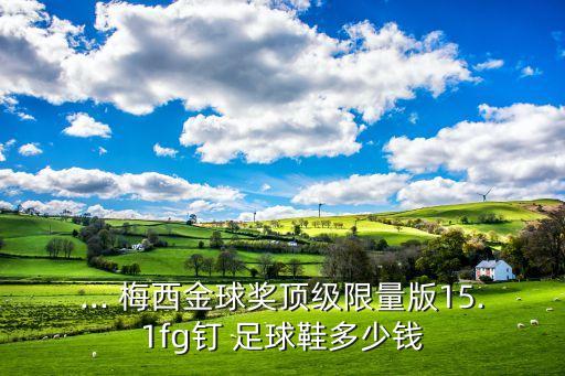 ... 梅西金球獎頂級限量版15.1fg釘 足球鞋多少錢