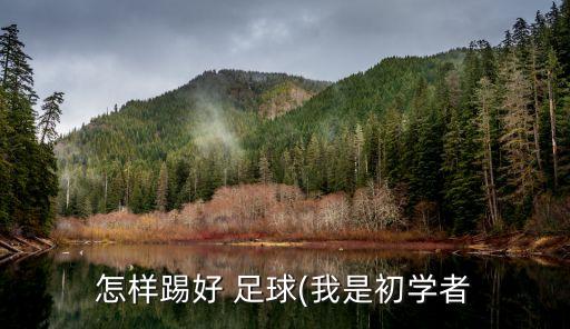 怎樣踢好 足球(我是初學者
