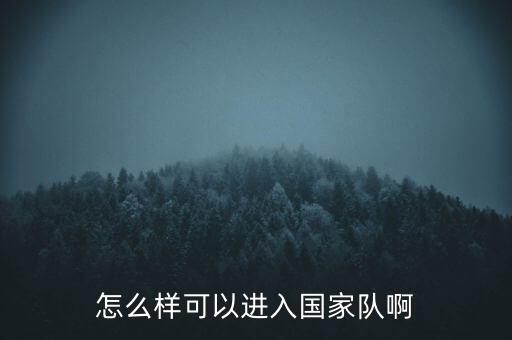 怎么樣可以進(jìn)入國家隊(duì)啊