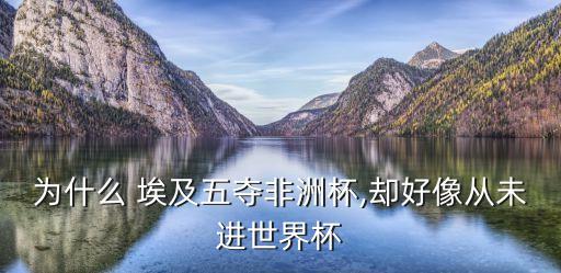 為什么 埃及五奪非洲杯,卻好像從未進(jìn)世界杯