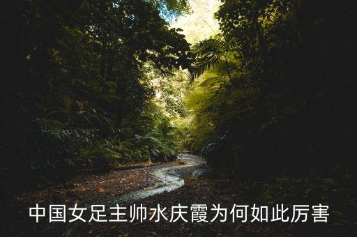 超級足球教練,足球教練第一季