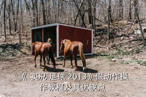 《 實(shí)況 足球 2013》假動(dòng)作操作教程及其優(yōu)缺點(diǎn)