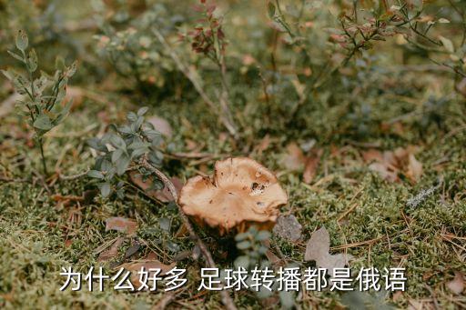俄羅斯業(yè)余足球錦標(biāo)賽直播,阿根廷業(yè)余足球錦標(biāo)賽直播