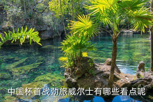 中國(guó)杯首戰(zhàn)勁旅威爾士有哪些看點(diǎn)呢