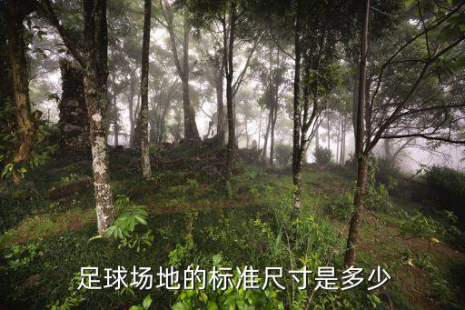  足球場地的標準尺寸是多少
