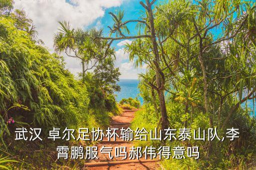 湖北卓爾足球最新新聞,武漢卓爾現(xiàn)在最新新聞