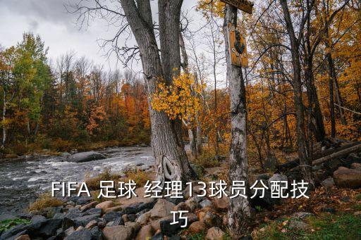 FIFA 足球 經(jīng)理13球員分配技巧