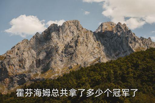 霍芬海姆總共拿了多少個冠軍了