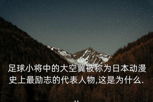青少年足球夢(mèng)