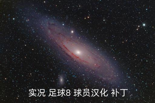  實(shí)況 足球8 球員漢化 補(bǔ)丁