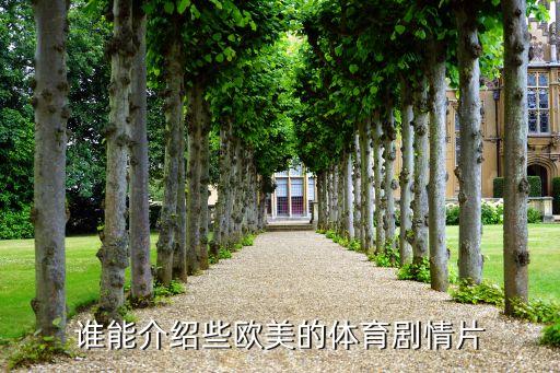 誰(shuí)能介紹些歐美的體育劇情片