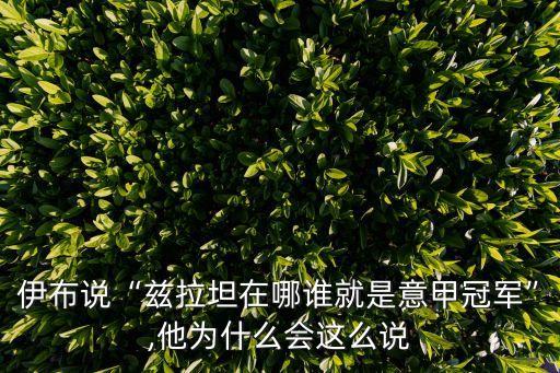 伊布說“茲拉坦在哪誰就是意甲冠軍”,他為什么會(huì)這么說