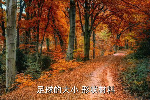 足球的形狀是什么體,一年級數(shù)學足球的形狀是什么