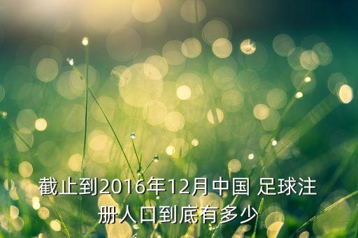 截止到2016年12月中國(guó) 足球注冊(cè)人口到底有多少