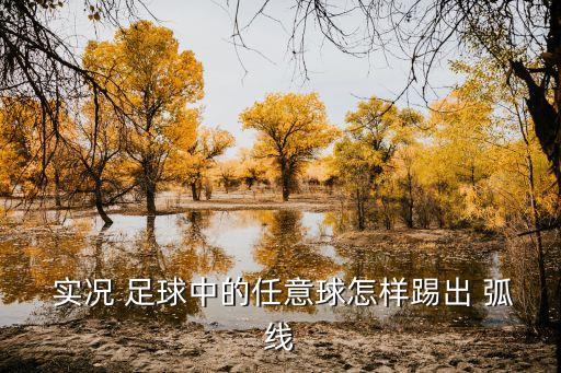  實況 足球中的任意球怎樣踢出 弧線