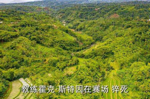 教練霍克·斯特因在賽場(chǎng) 猝死