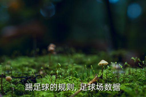 足球場(chǎng)離與,青島青春足球場(chǎng)