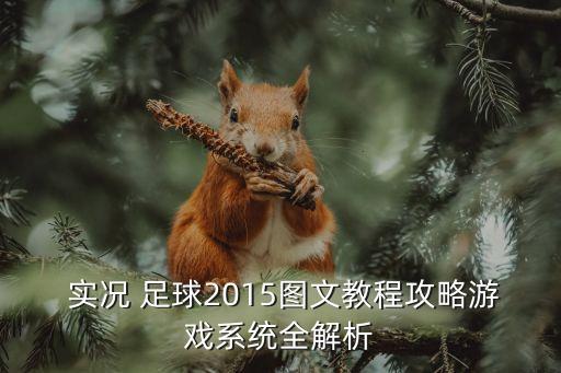  實(shí)況 足球2015圖文教程攻略游戲系統(tǒng)全解析