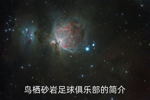 鳥棲砂巖足球俱樂部的簡介