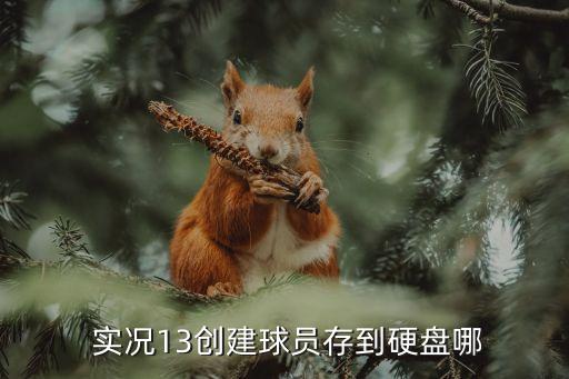  實(shí)況13創(chuàng)建球員存到硬盤(pán)哪