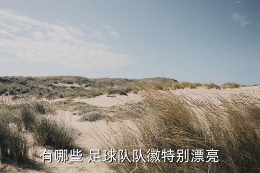 小學(xué)足球隊徽
